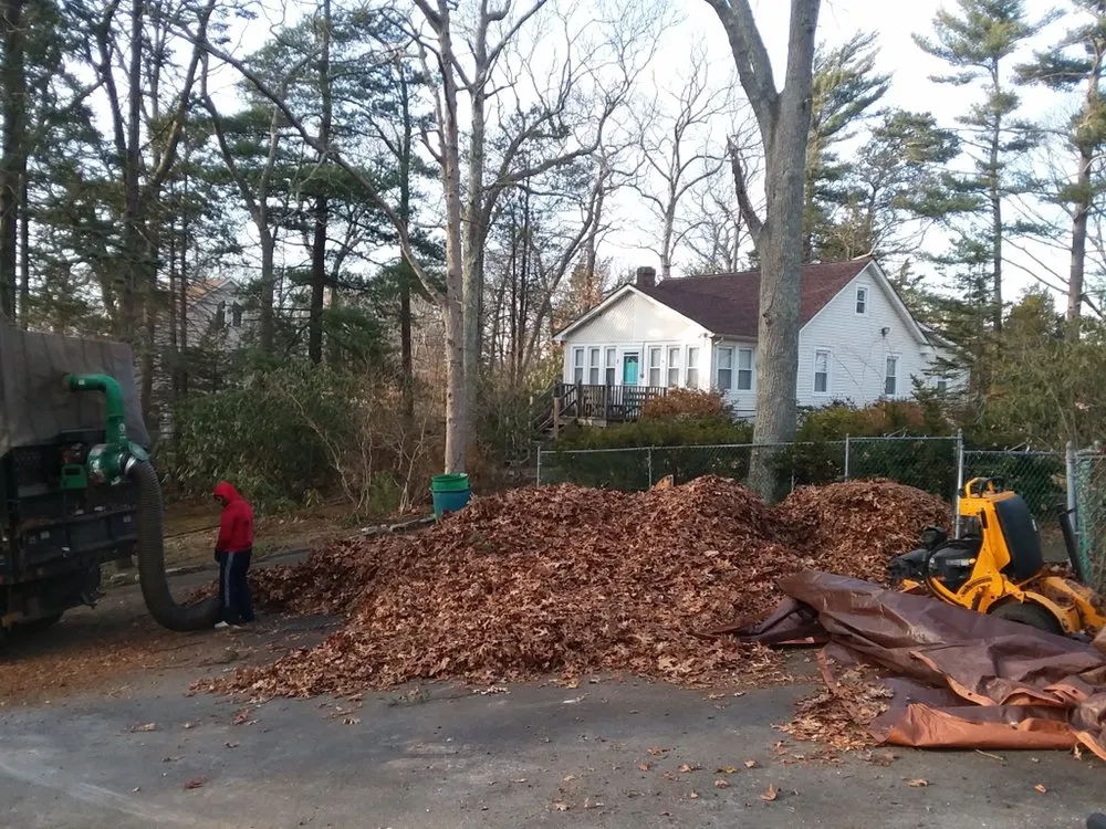 Local yard maintenance experts serving Middle Island, NY - Clean Cut Landscaping