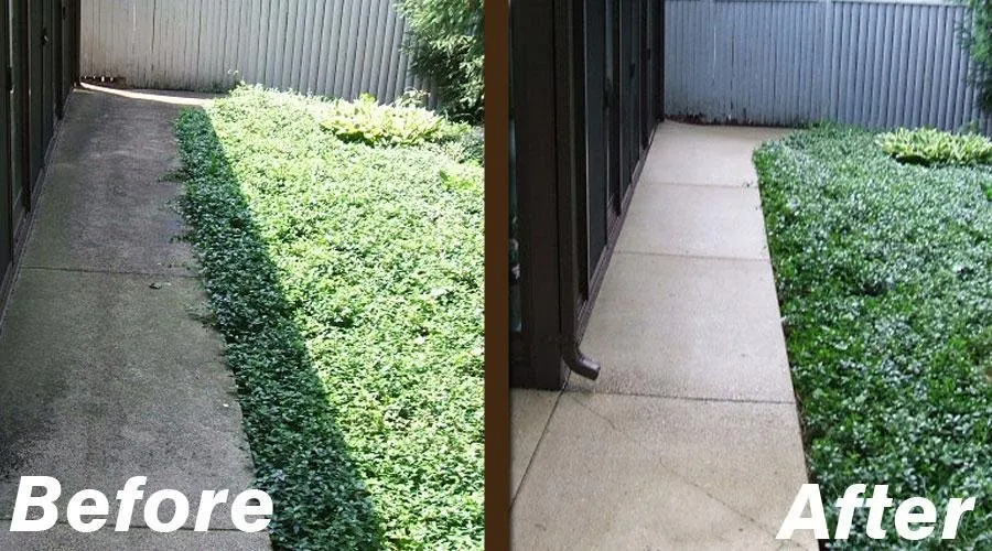 Reliable residential landscaping in Murrieta, CA - Clean Cut Landscaping