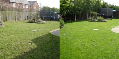 Custom yard cleanup service experts serving Murrieta, CA - Clean Cut Landscaping