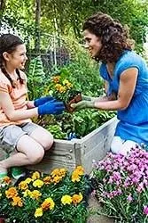 Professional lawn care service for outdoor upgrades across Brooklyn Park, MN - Clean Cut Lawn & Landscape