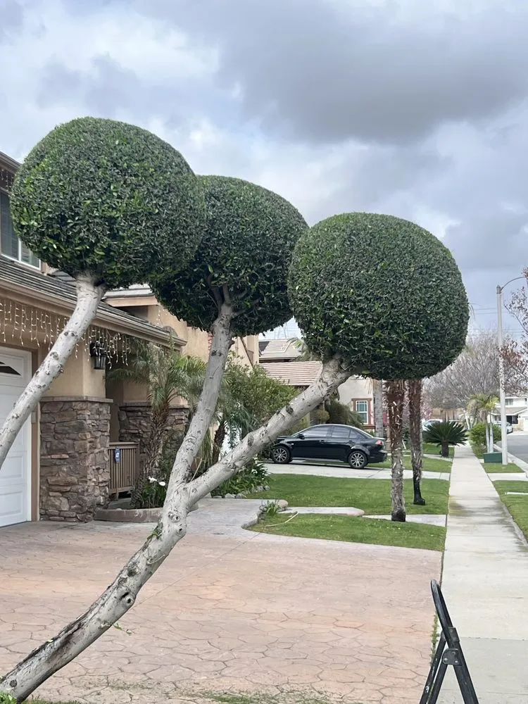 Custom landscaping services with custom design in Rialto, CA by Clean Cut Lawn & Landscape