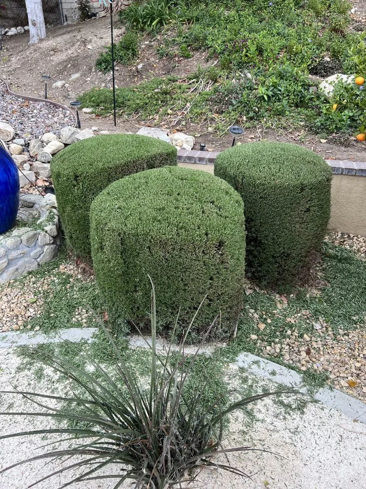 Trusted lawn mowing service for homes in Rialto, CA by Clean Cut Lawn & Landscape