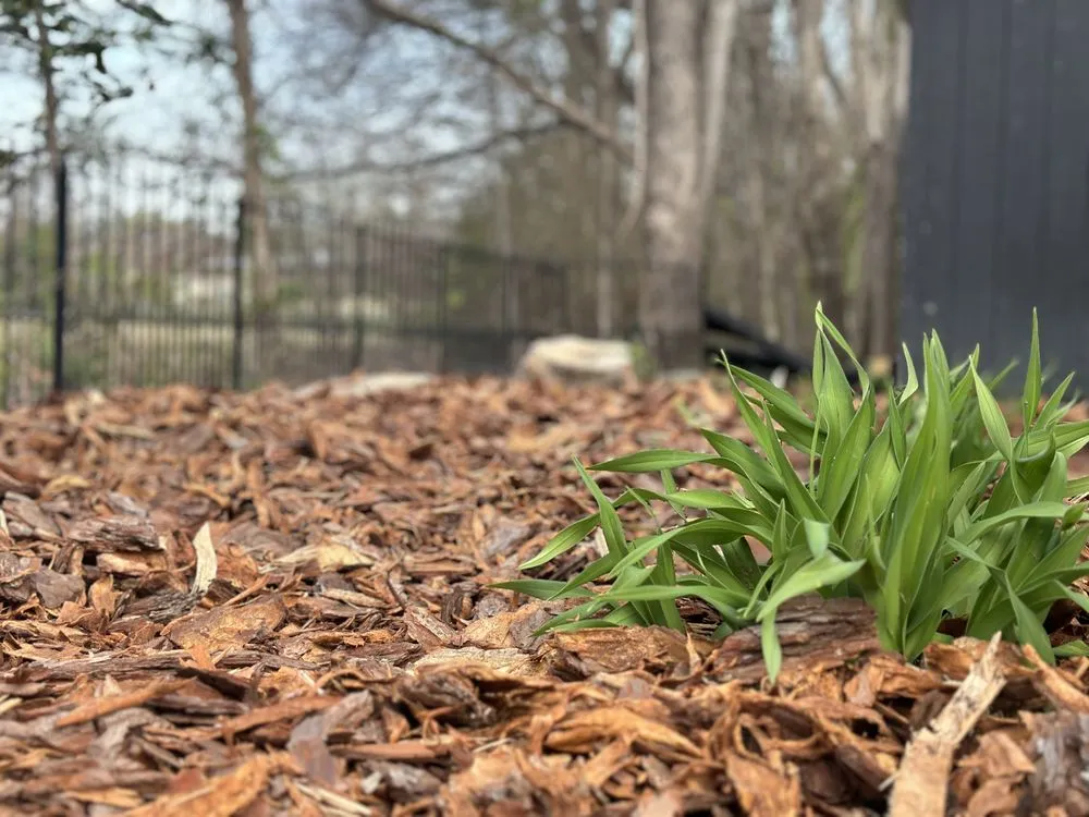 Professional landscape installation for outdoor upgrades across Thomasville, NC - Clean Cut Lawn & Landscaping