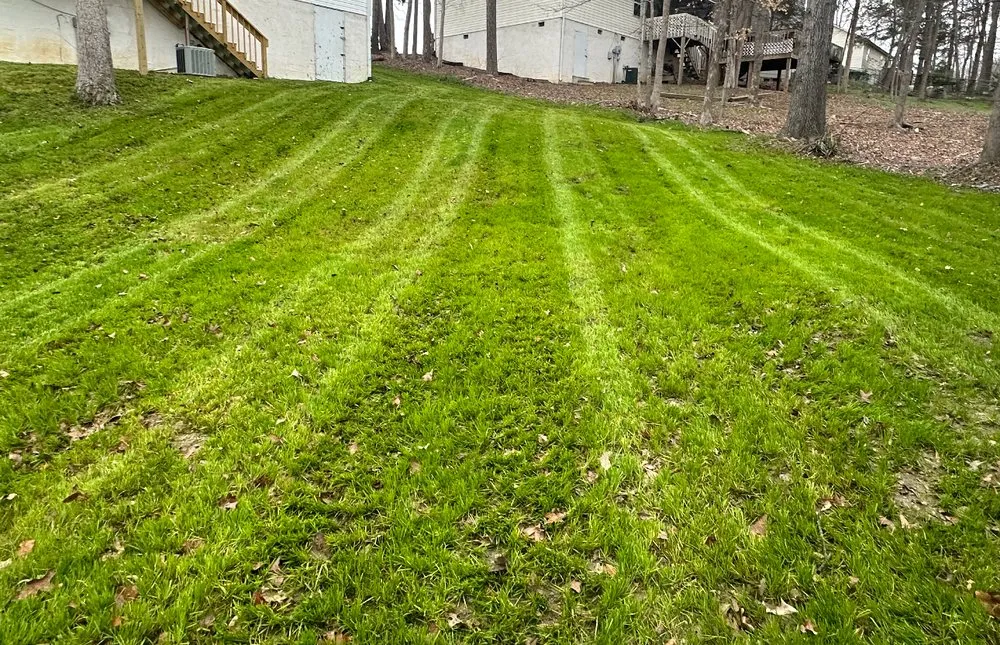 Trusted residential landscaping in Thomasville, NC - Clean Cut Lawn & Landscaping
