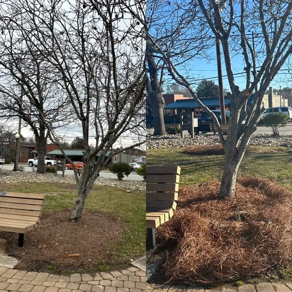 Trusted lawn mowing service with custom design across Thomasville, NC - Clean Cut Lawn & Landscaping