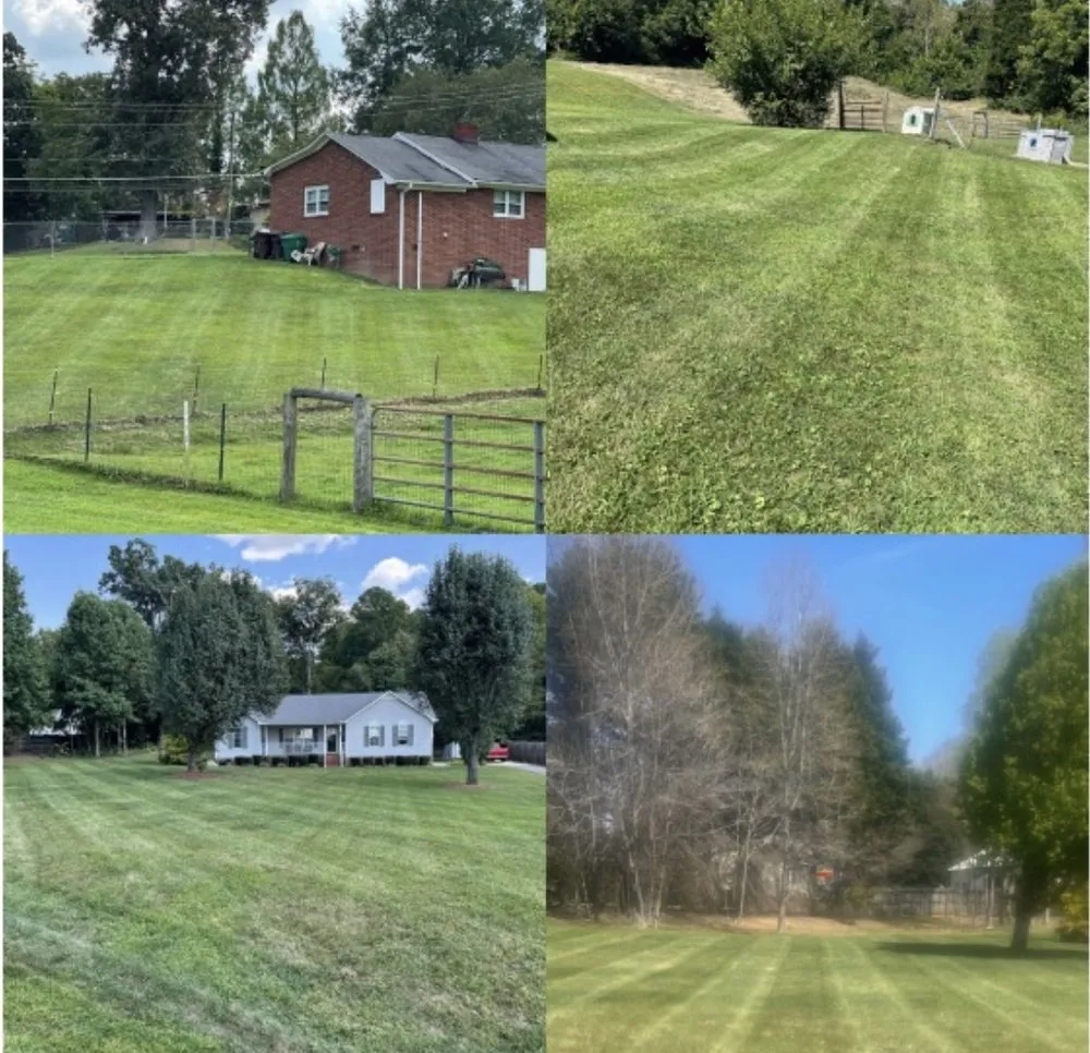 Professional yard cleanup service in Thomasville, NC by Clean Cut Lawn & Landscaping