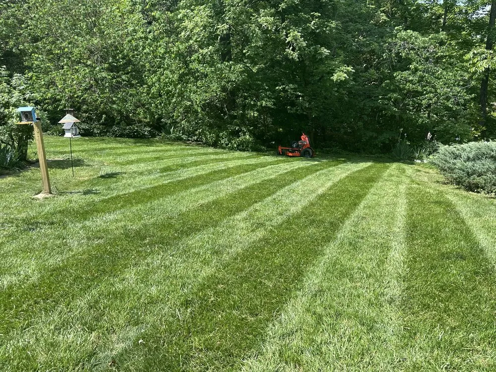 Trusted lawn mowing service experts serving Thomasville, NC - Clean Cut Lawn & Landscaping