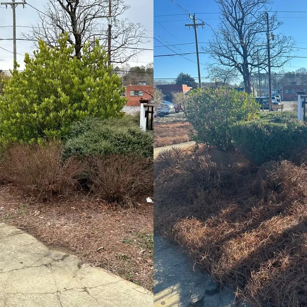 Trusted yard maintenance for year-round maintenance across Thomasville, NC - Clean Cut Lawn & Landscaping