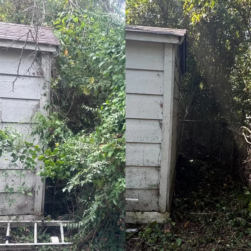 Trusted lawn care service for year-round maintenance across Thomasville, NC - Clean Cut Lawn & Landscaping