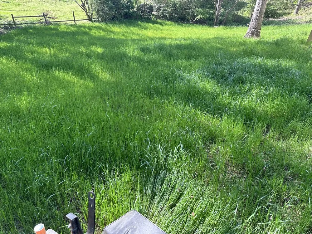 Custom yard cleanup service for beautiful yards in Thomasville, NC by Clean Cut Lawn & Landscaping