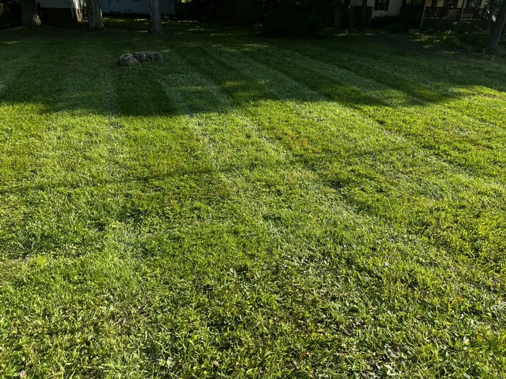 Custom yard maintenance in Thomasville, NC - Clean Cut Lawn & Landscaping