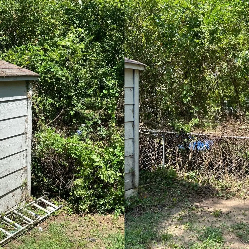 Expert landscape installation experts serving Thomasville, NC - Clean Cut Lawn & Landscaping