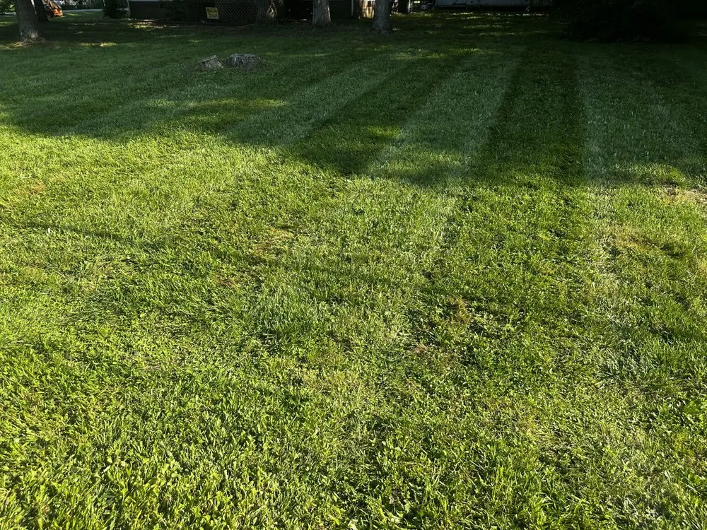 Professional yard maintenance for homes in Thomasville, NC by Clean Cut Lawn & Landscaping