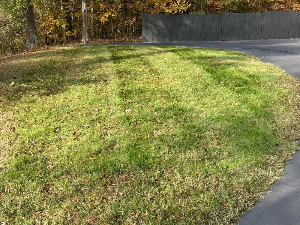 Top-rated outdoor landscaping in Thomasville, NC by Clean Cut Lawn & Landscaping