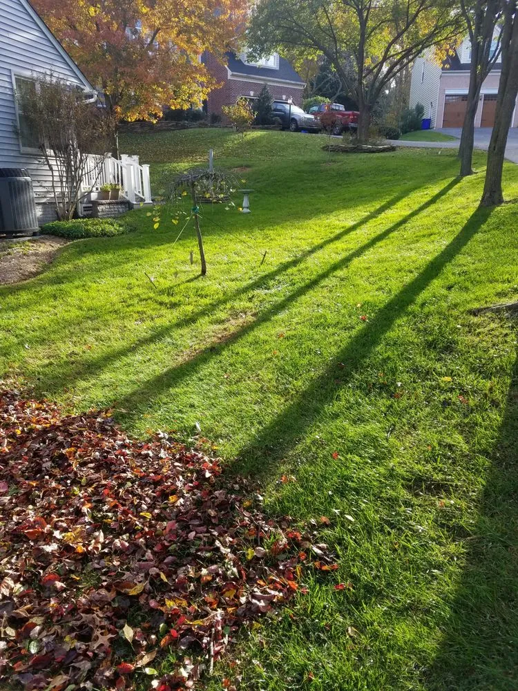 Top-rated yard maintenance experts serving Airville, PA - Clean Cut Lawn and Landscape