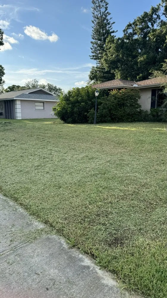 Custom landscape installation in Sarasota, FL by Clean Cut Lawn And Landscape