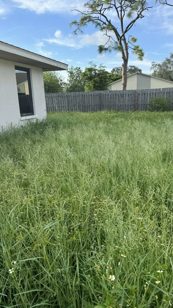 Custom residential landscaping for outdoor upgrades in Sarasota, FL by Clean Cut Lawn And Landscape