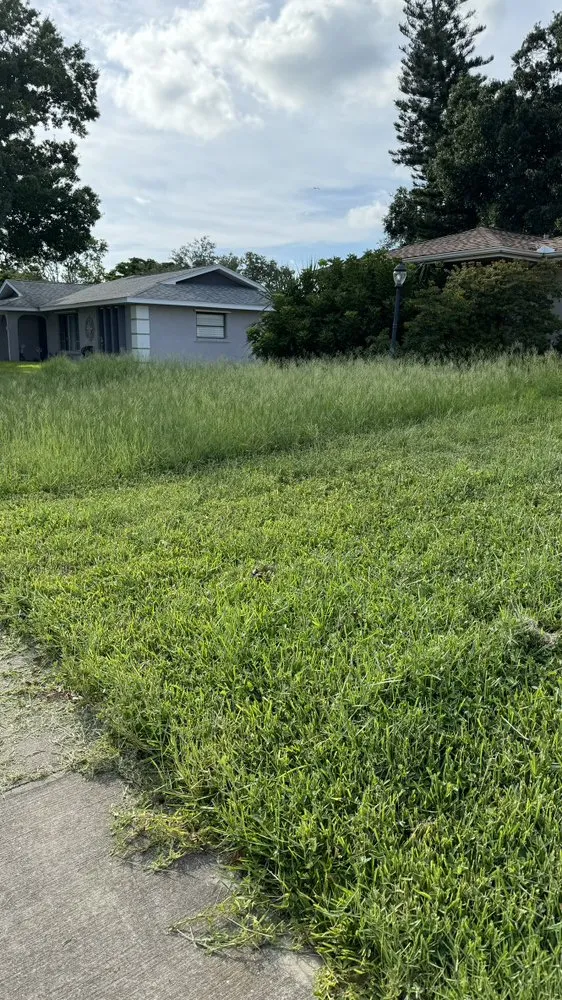 Local landscaping services in Sarasota, FL - Clean Cut Lawn And Landscape