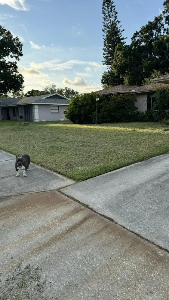 Professional garden landscaping for homes in Sarasota, FL by Clean Cut Lawn And Landscape