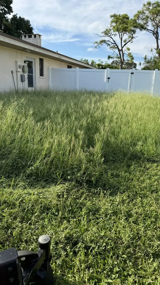 Expert outdoor landscaping in Sarasota, FL by Clean Cut Lawn And Landscape