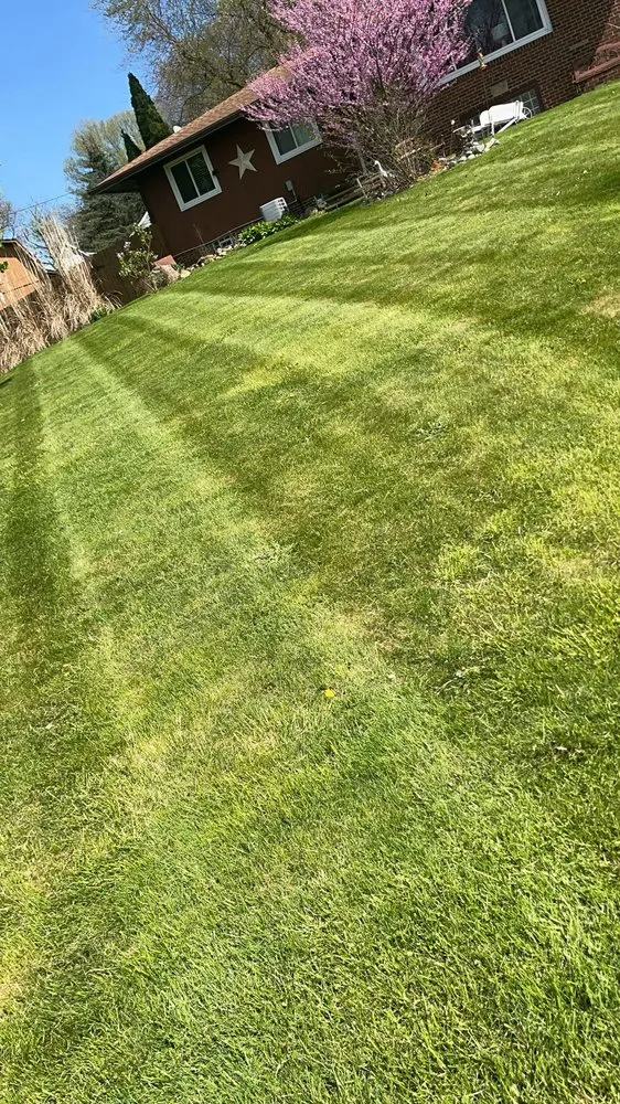 Reliable landscaping services for residential properties in Akron, OH by Clean Cut Lawn Care