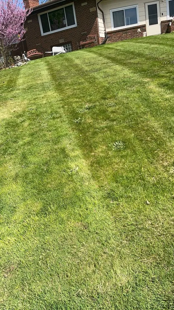 Professional residential landscaping in Akron, OH - Clean Cut Lawn Care