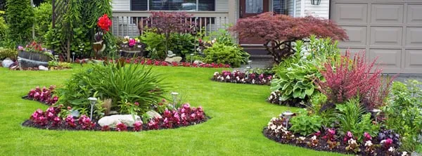 Clean Cut Lawn Care Logo