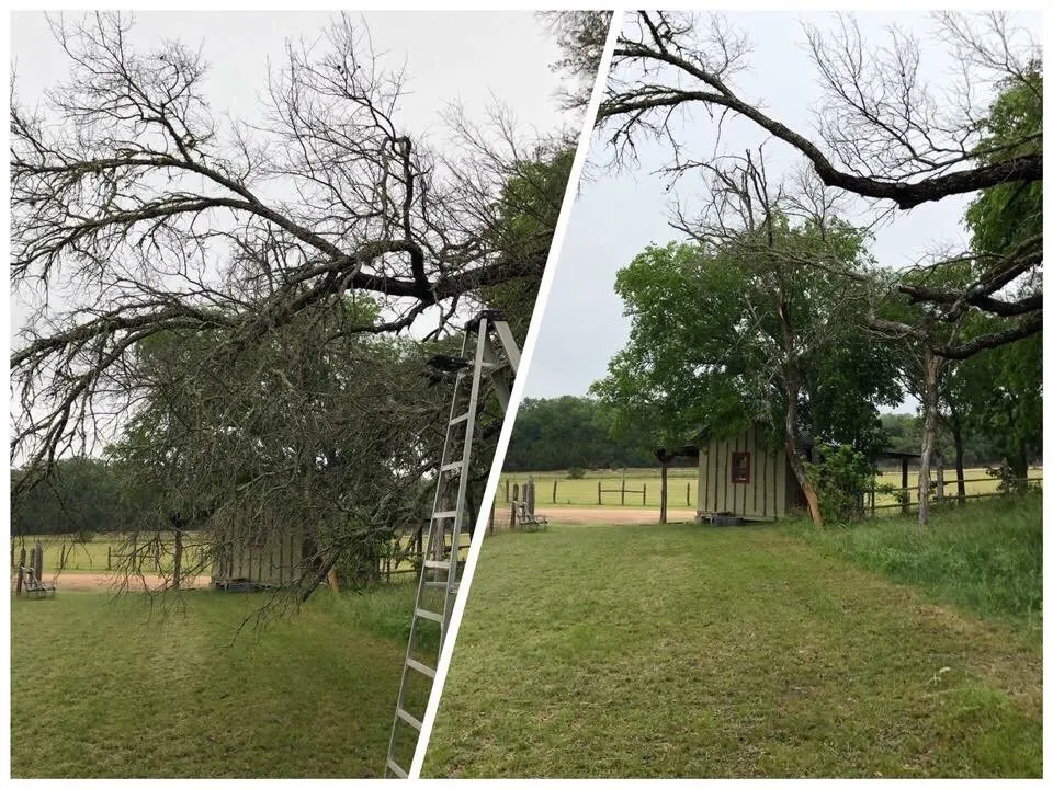 Top-rated garden landscaping in Boerne, TX by Clean Cut Lawn Care