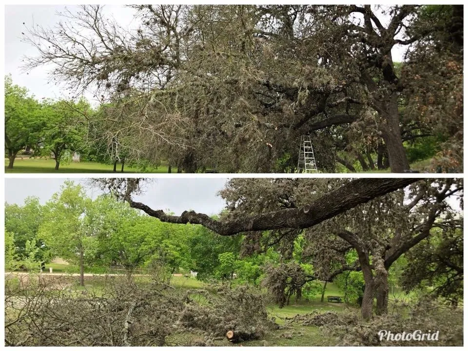 Custom yard maintenance in Boerne, TX by Clean Cut Lawn Care