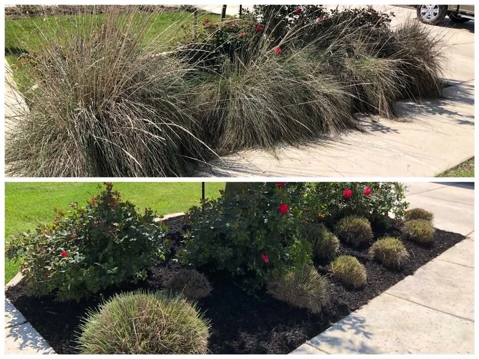 Affordable garden landscaping in Boerne, TX - Clean Cut Lawn Care