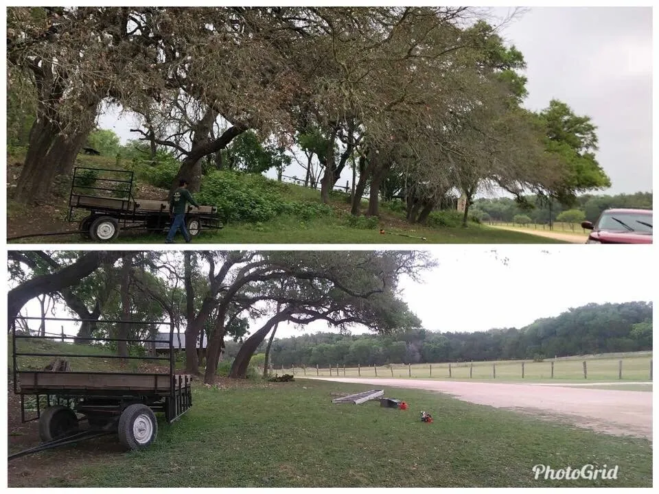 Reliable residential landscaping with custom design across Boerne, TX - Clean Cut Lawn Care