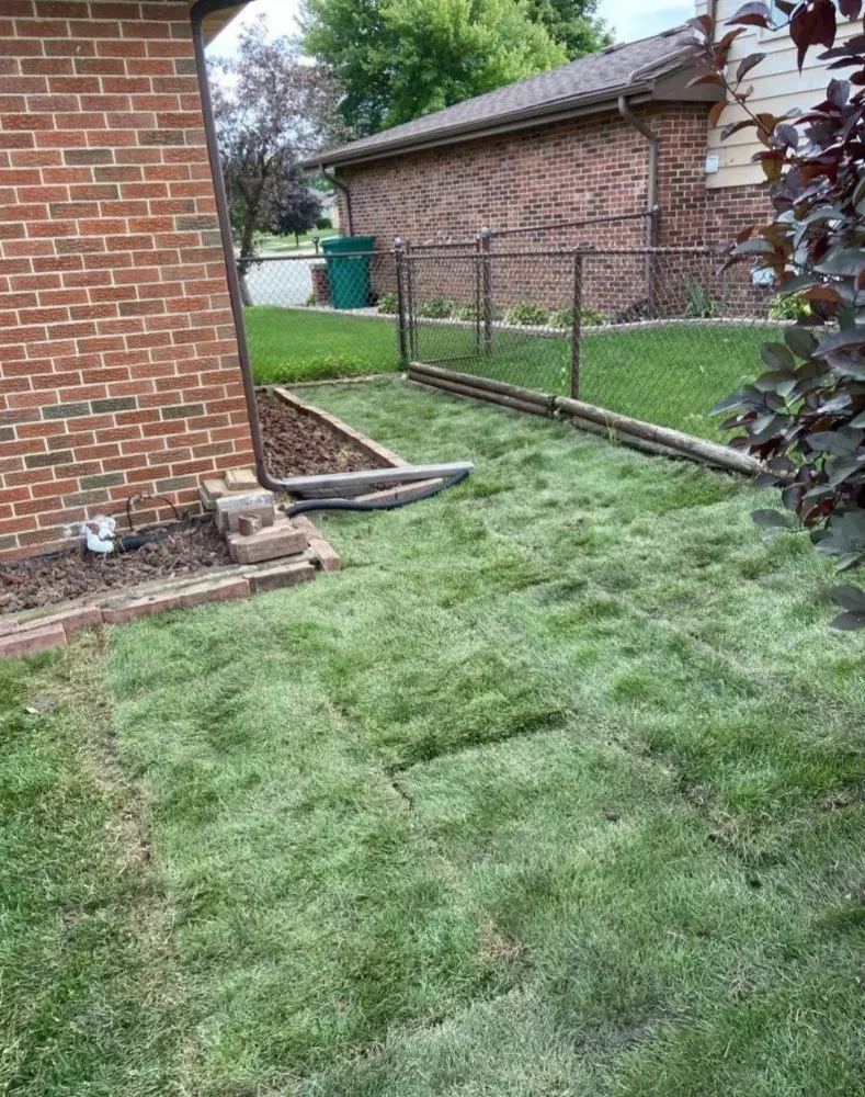 Top-rated yard cleanup service experts serving Bolingbrook, IL - Clean Cut Lawn Care