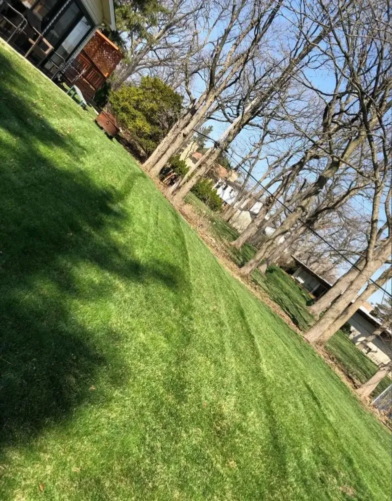Expert outdoor landscaping experts serving Bolingbrook, IL - Clean Cut Lawn Care