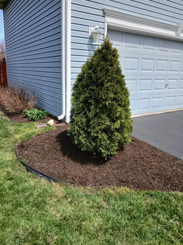 Affordable yard maintenance for beautiful yards in Bolingbrook, IL by Clean Cut Lawn Care