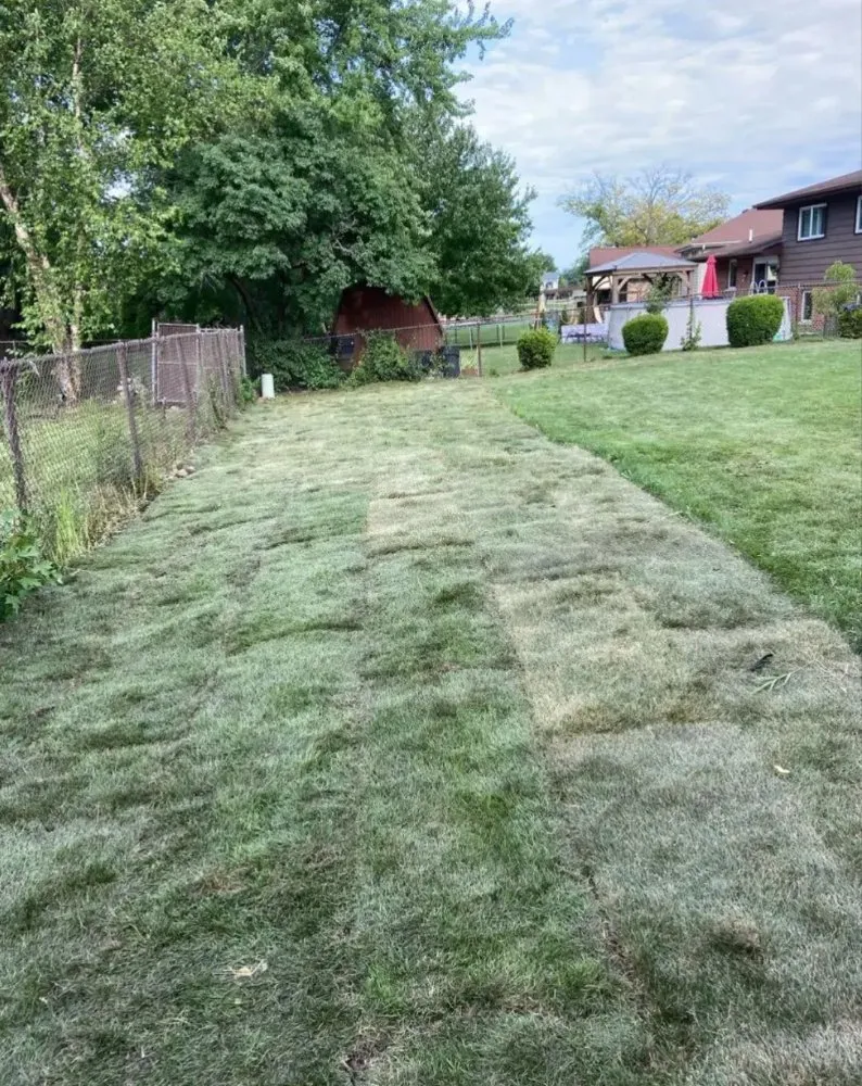 Top-rated landscape design in Bolingbrook, IL - Clean Cut Lawn Care