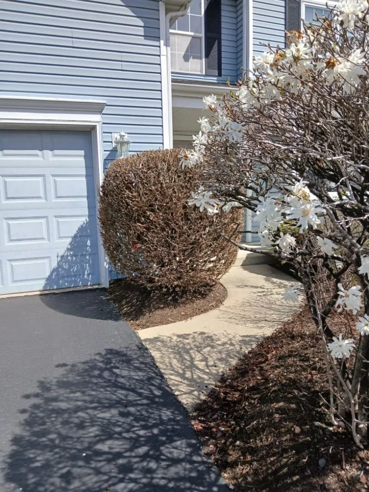 Professional outdoor landscaping experts serving Bolingbrook, IL - Clean Cut Lawn Care