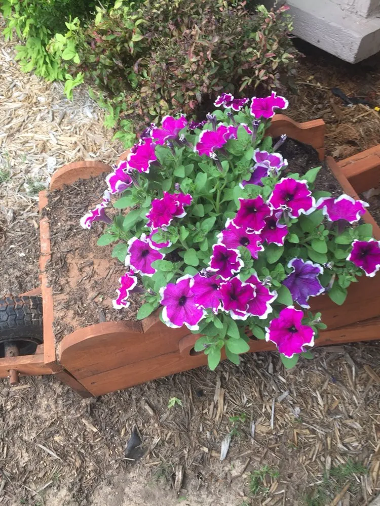 Top-rated landscaping services for year-round maintenance in Broken Arrow, OK by Clean Cut Lawn Care