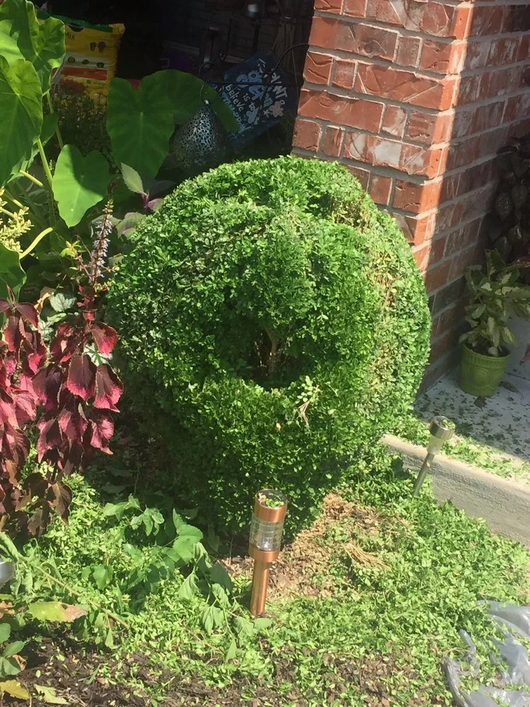 Professional yard cleanup service for outdoor upgrades across Broken Arrow, OK - Clean Cut Lawn Care