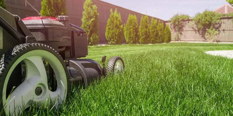 Affordable yard maintenance experts serving Imperial, CA - Clean Cut Lawn Care