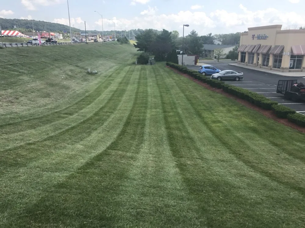 Trusted yard cleanup service in Lancaster, OH - Clean Cut Lawn Care