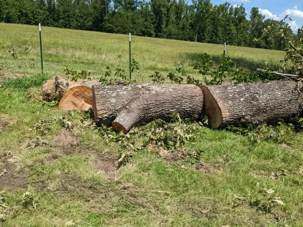 Trusted lawn mowing service in Marshall, TX - Clean Cut Lawn Care