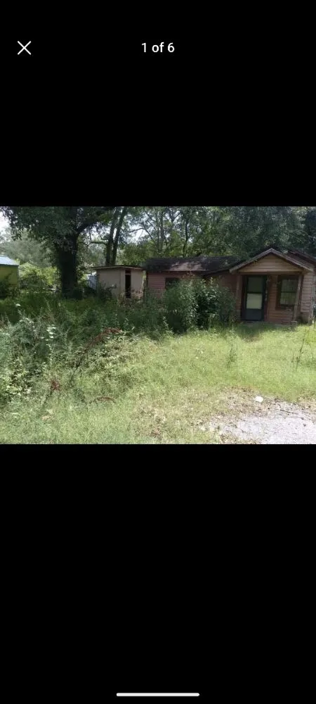 Expert lawn care service for year-round maintenance across Marshall, TX - Clean Cut Lawn Care