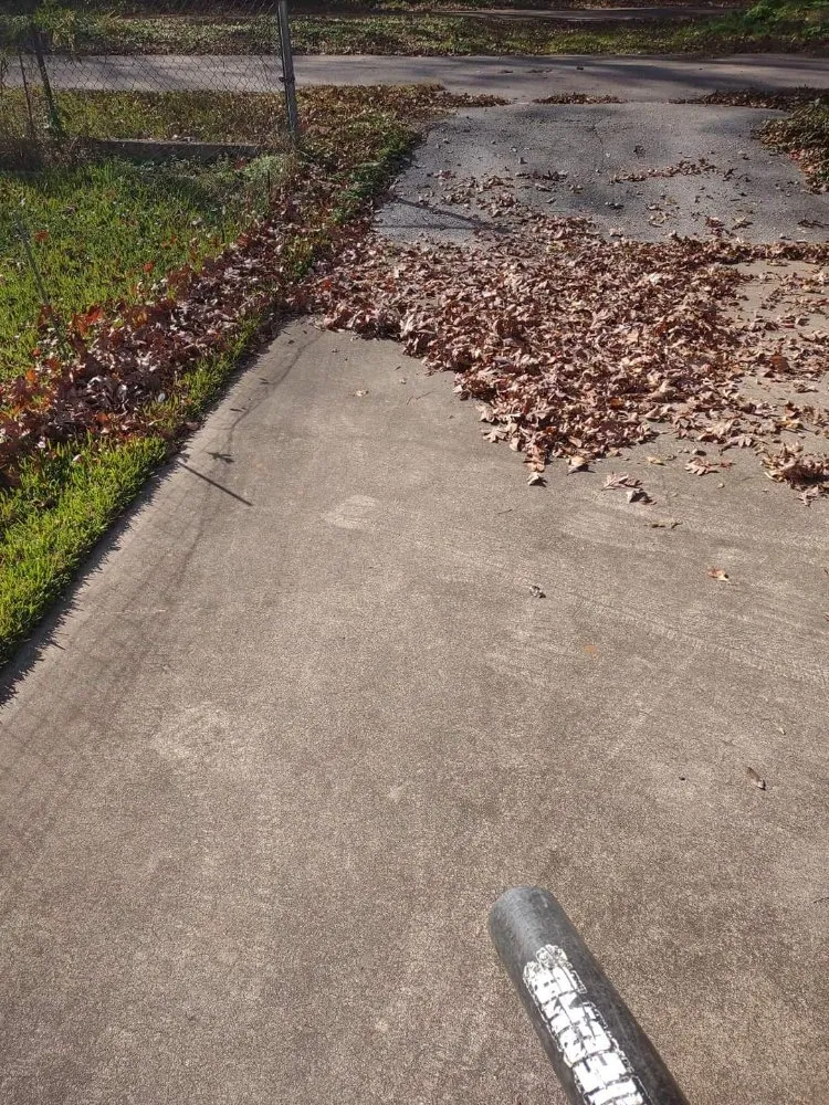 Local outdoor landscaping in Marshall, TX - Clean Cut Lawn Care