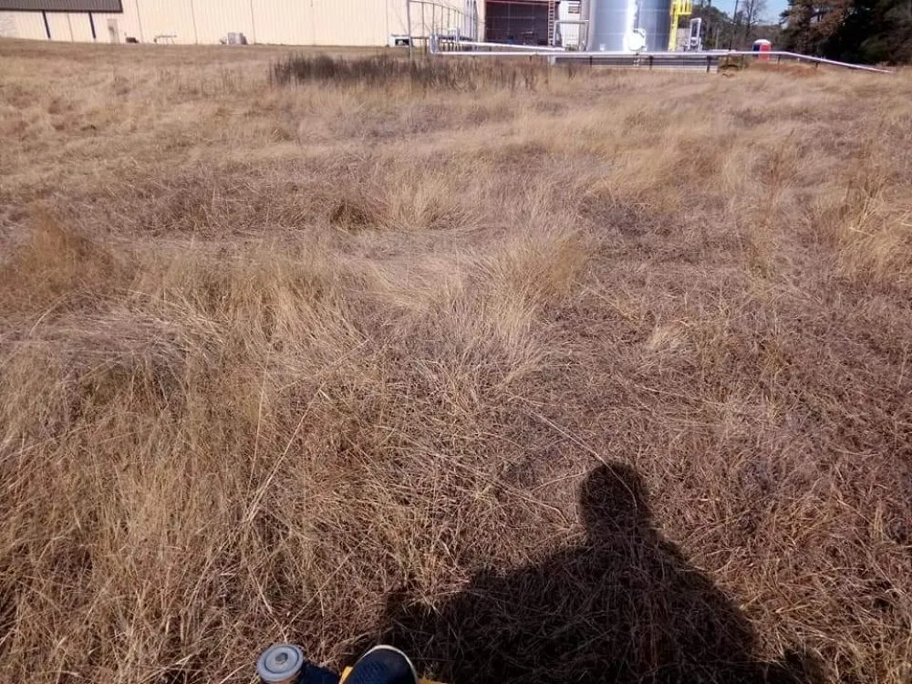 Expert landscaping services for beautiful yards across Marshall, TX - Clean Cut Lawn Care