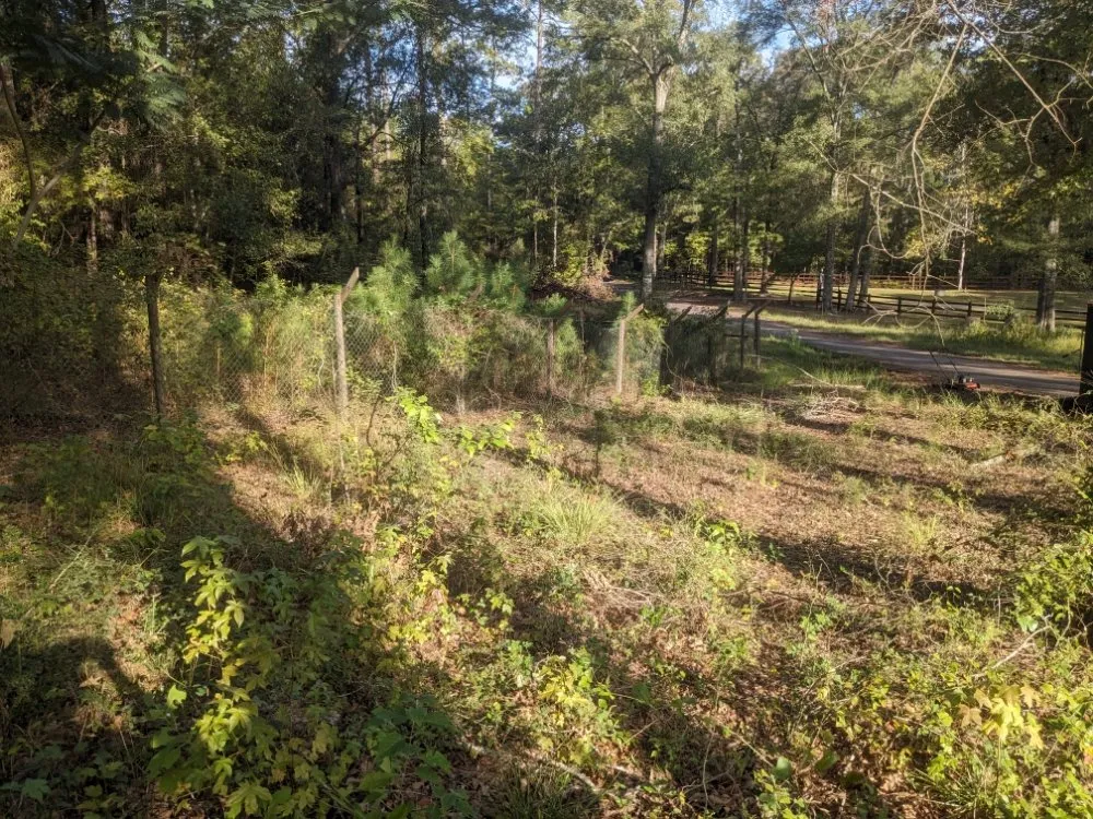 Custom lawn care service in Marshall, TX by Clean Cut Lawn Care