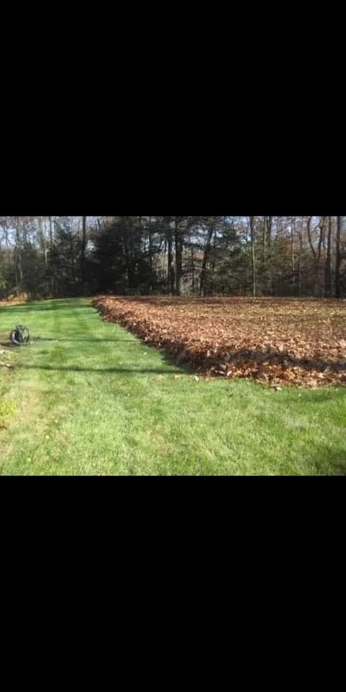 Reliable landscape installation in Marshall, TX - Clean Cut Lawn Care