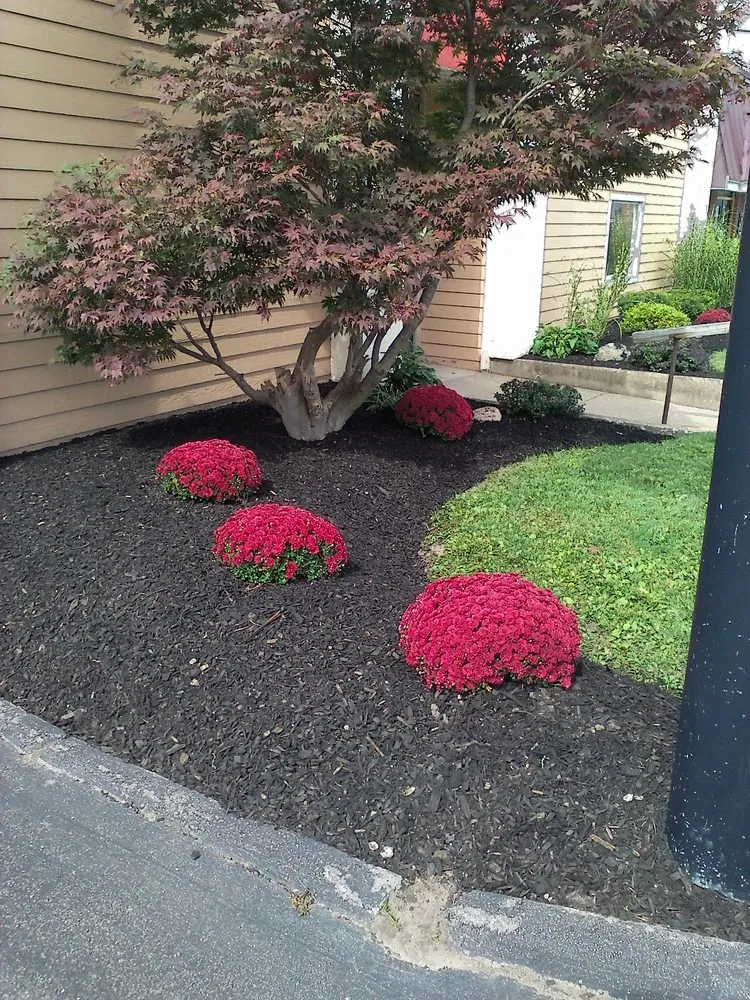 Expert lawn care service for year-round maintenance in Memphis, NY by Clean Cut Lawn Care