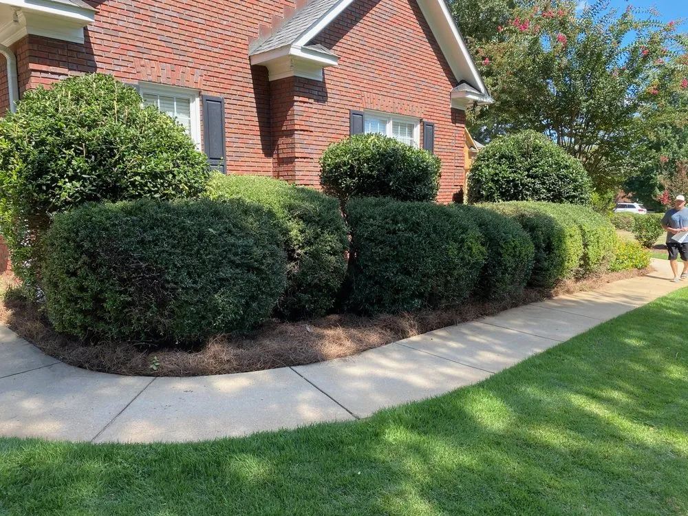 Top-rated lawn mowing service experts serving Phenix City, AL - Clean Cut Lawn Care