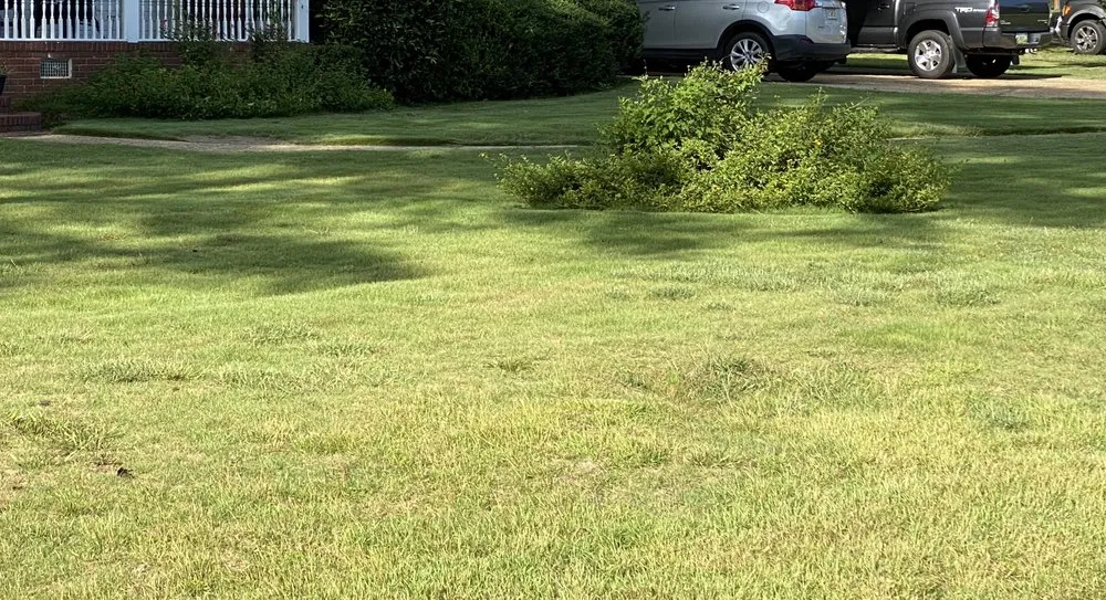 Professional yard maintenance experts serving Phenix City, AL - Clean Cut Lawn Care