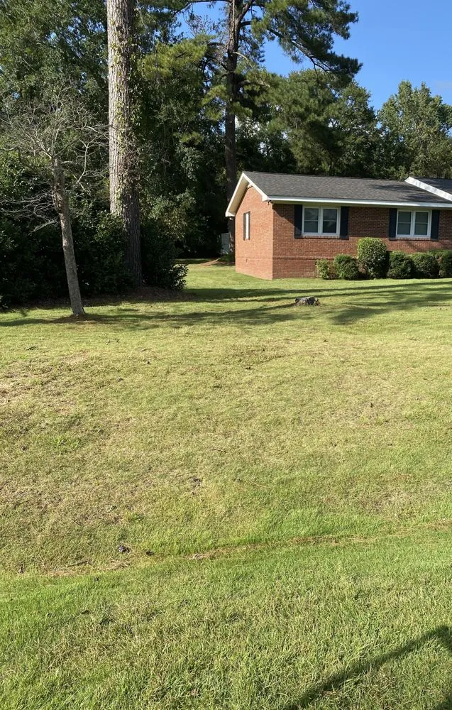 Local outdoor landscaping for year-round maintenance in Phenix City, AL by Clean Cut Lawn Care